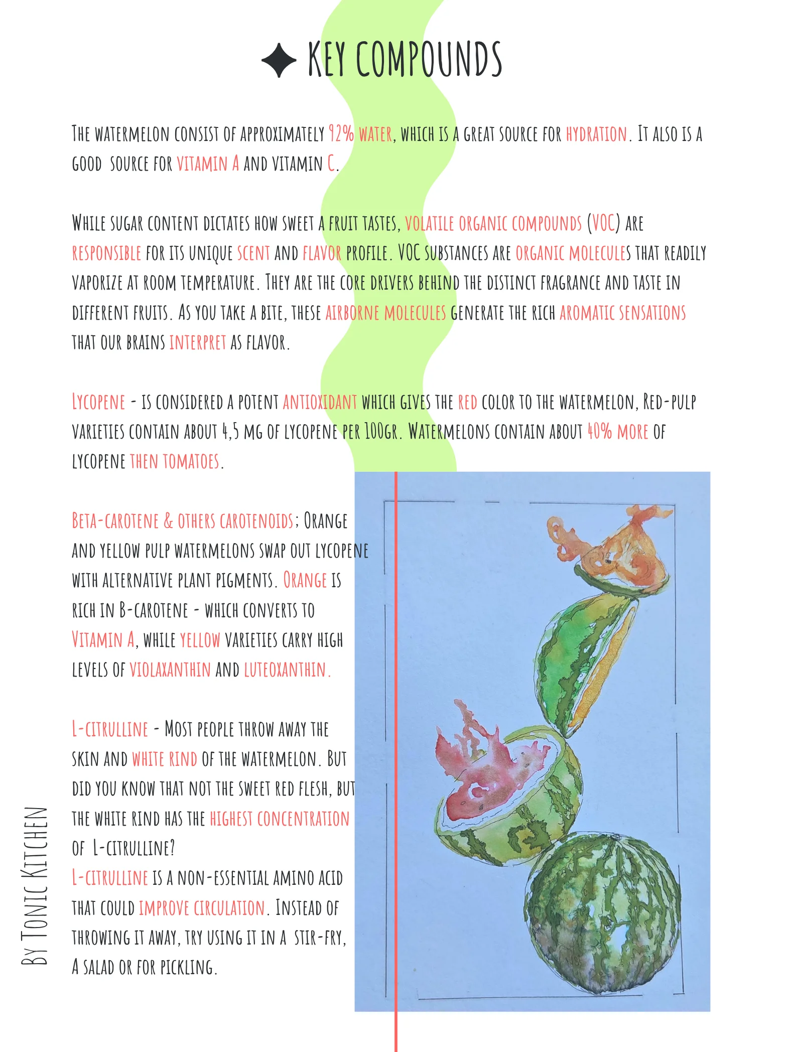 Tonic Kitchen Food Zine, Issue 03, The Watermelon product image (2)