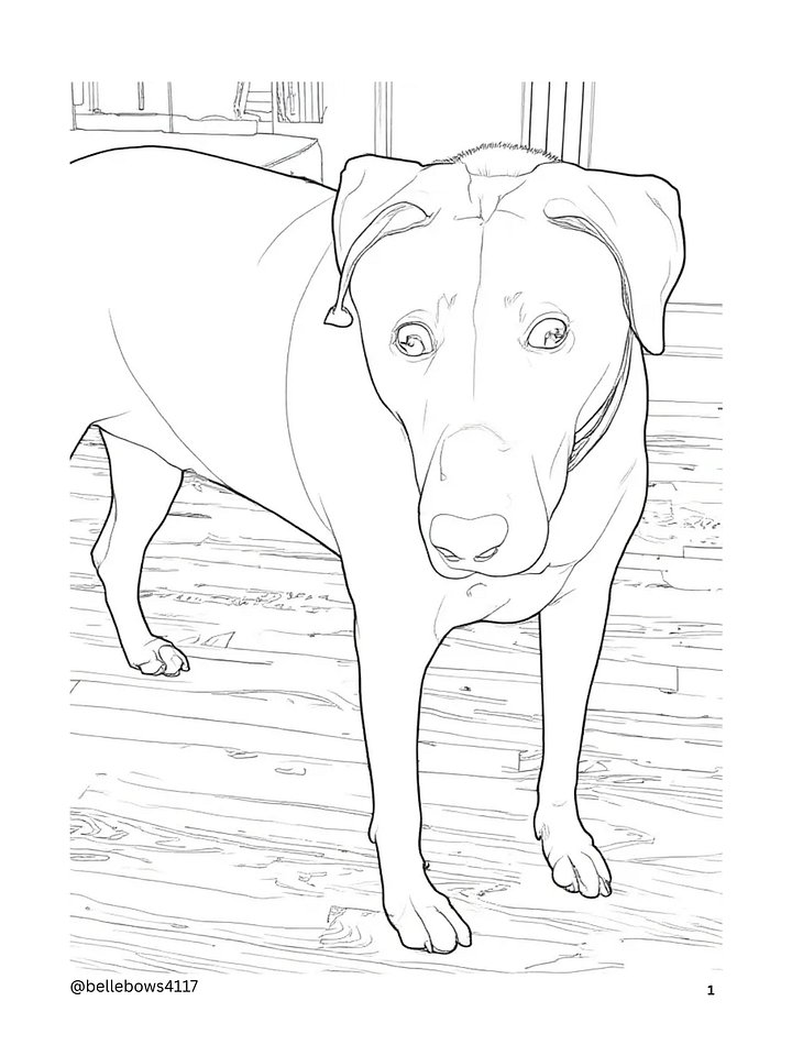 Belle Coloring Book 1 product image (2)