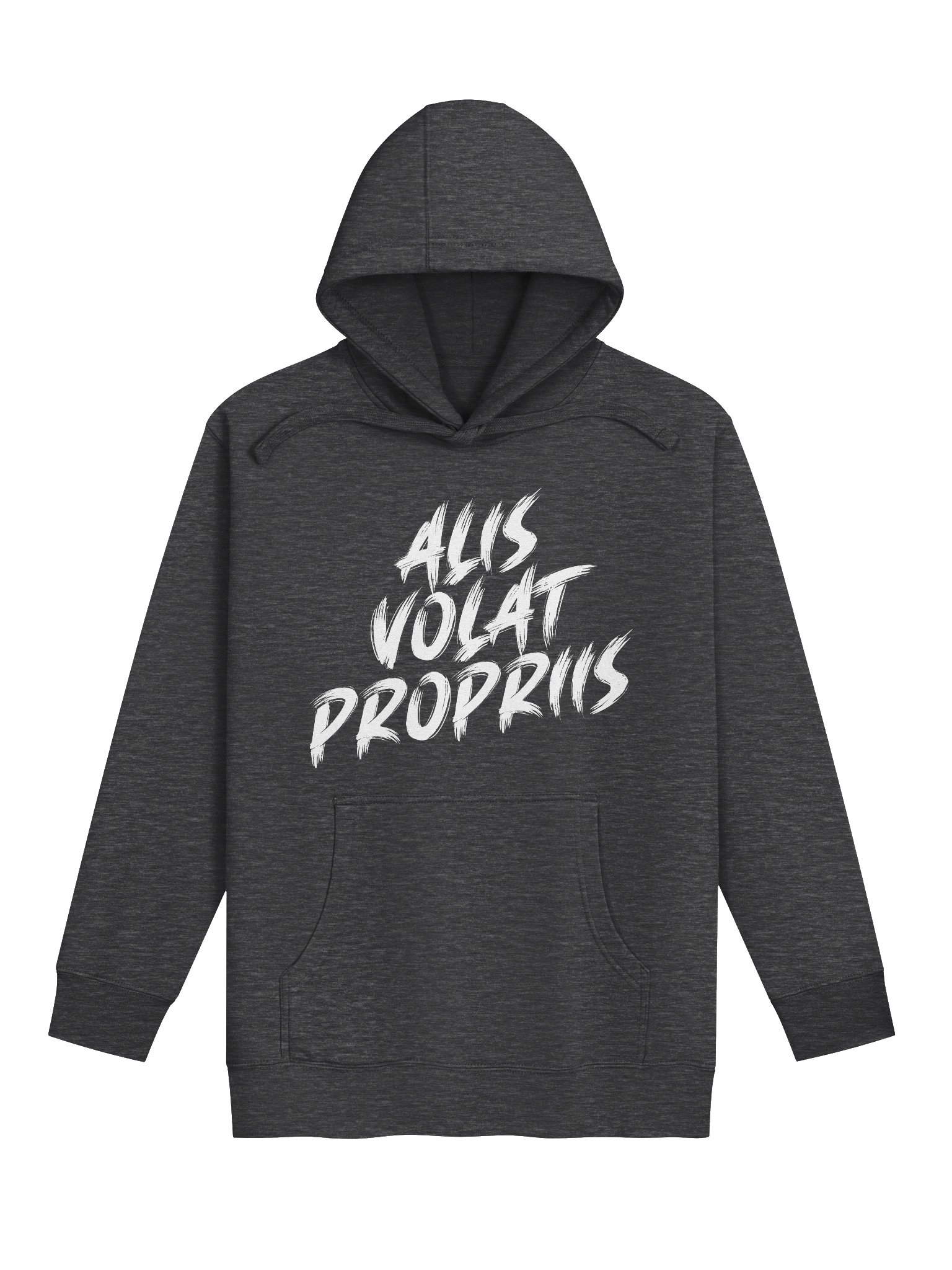 Alis Volat Propriis Bold Brush Hoodie product image (10)