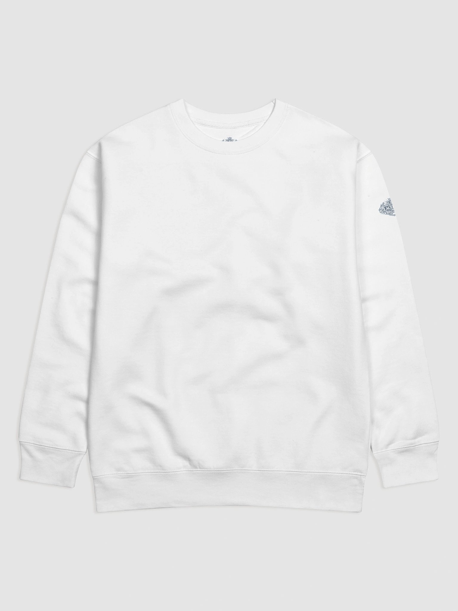 Intense Cotton Sweatshirt With Centered Tech product image (57)