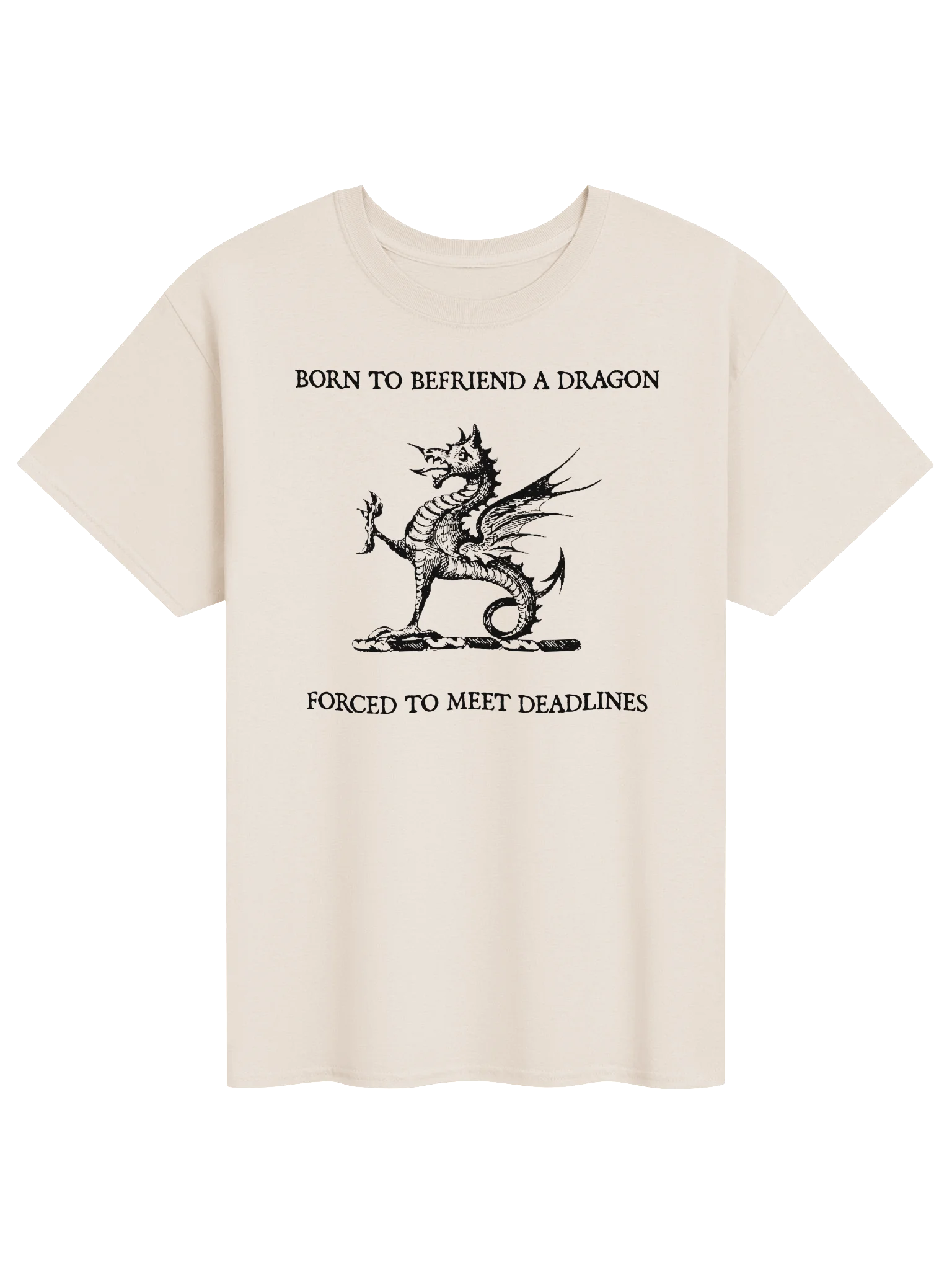 BORN TO BEFRIEND A DRAGON, FORCED TO MEET DEADLINES product image (51)