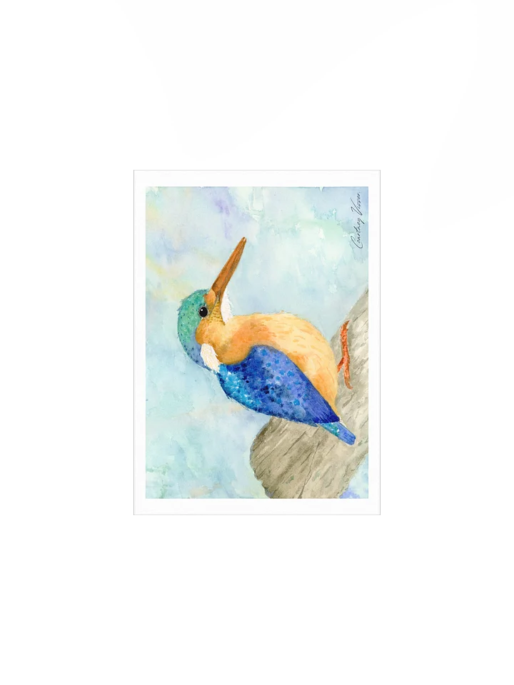 Malachite kingfisher print product image (2)