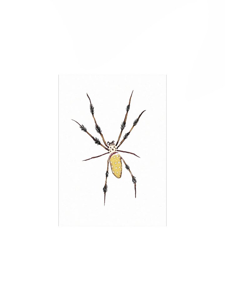 Smart Spider Mini Print product image (1)