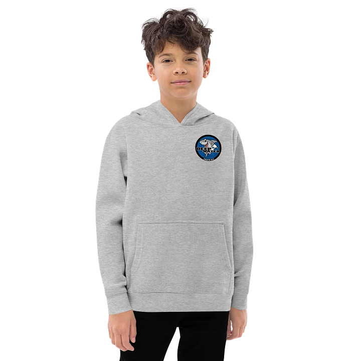 Youth BJJ Hoodie product image (1)