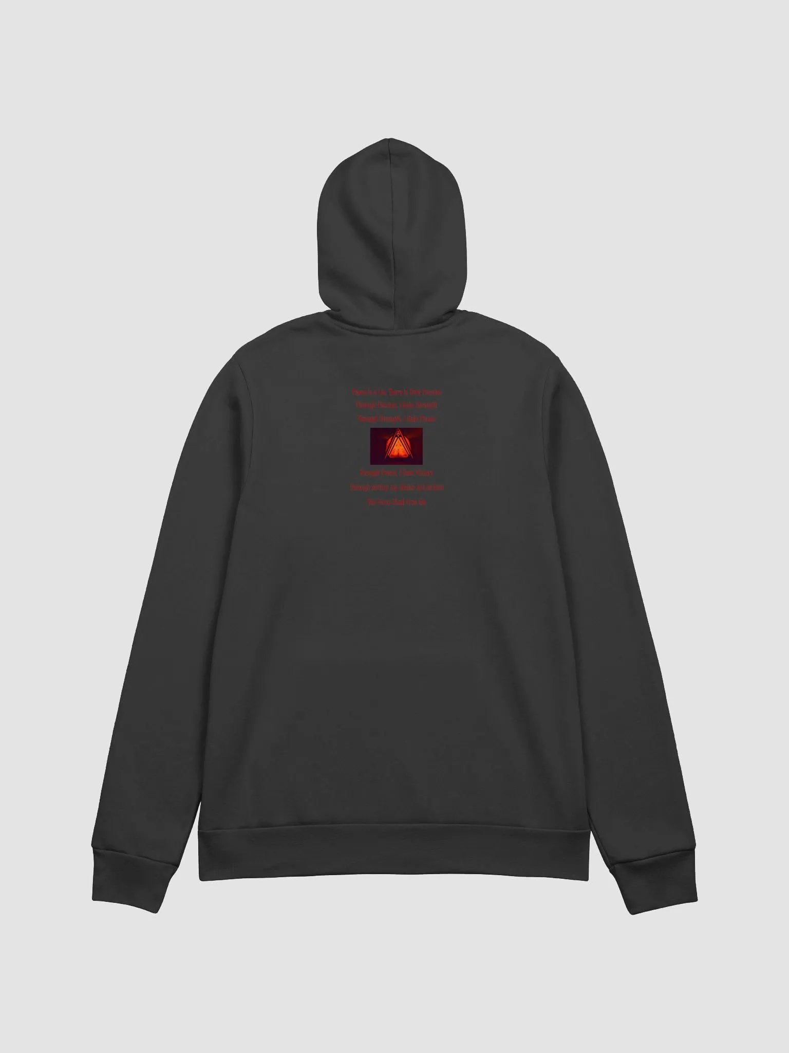 PURIST LOGO & DS Code Hoodie product image (2)