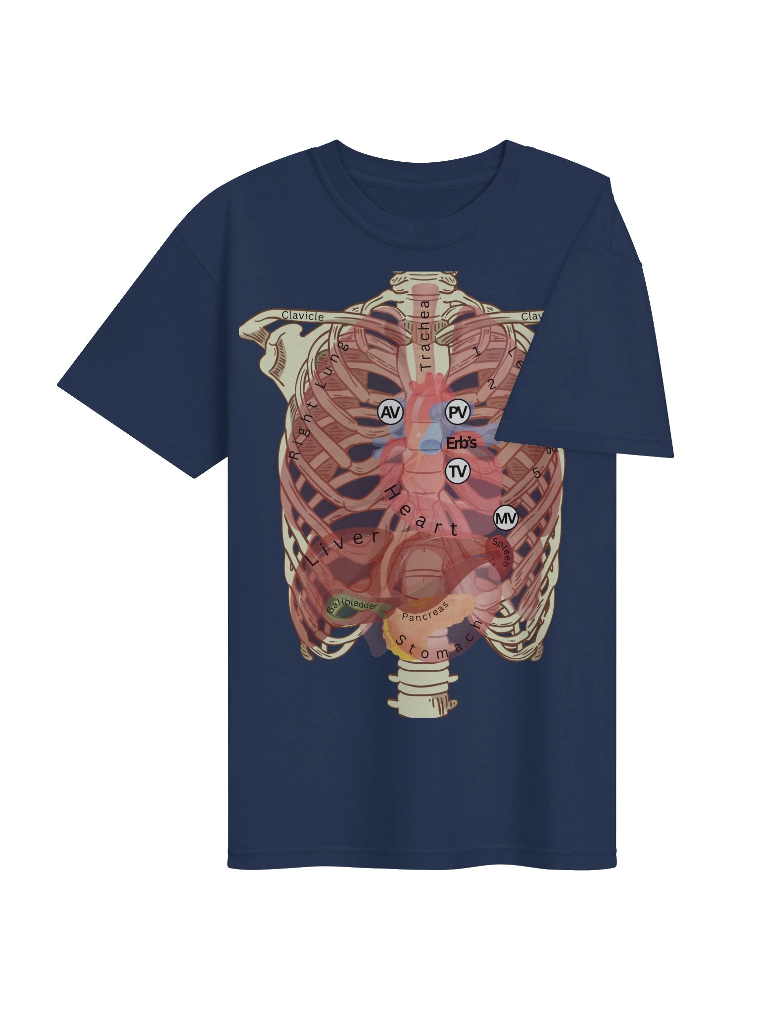 Heart Auscultation Points Anatomy Shirt | Internal Organs & Body Anatomy T-Shirt for Nursing Students by Nurse Sarah ® product image (51)