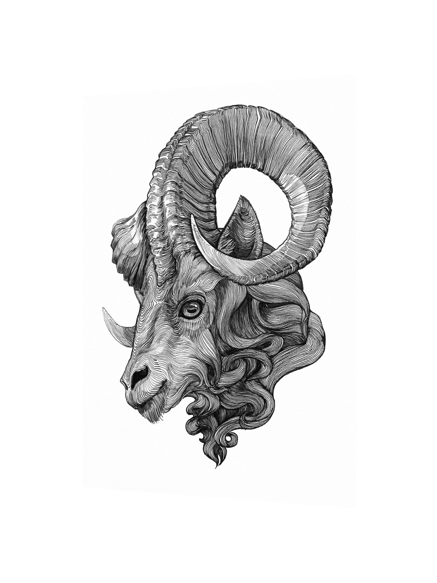 Inktober art. “Ram” (Poster) product image (2)