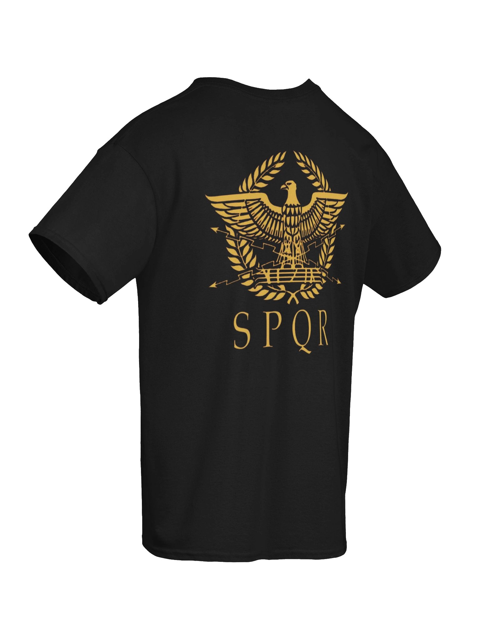 Rome Reborn - Comfort T-shirt product image (3)