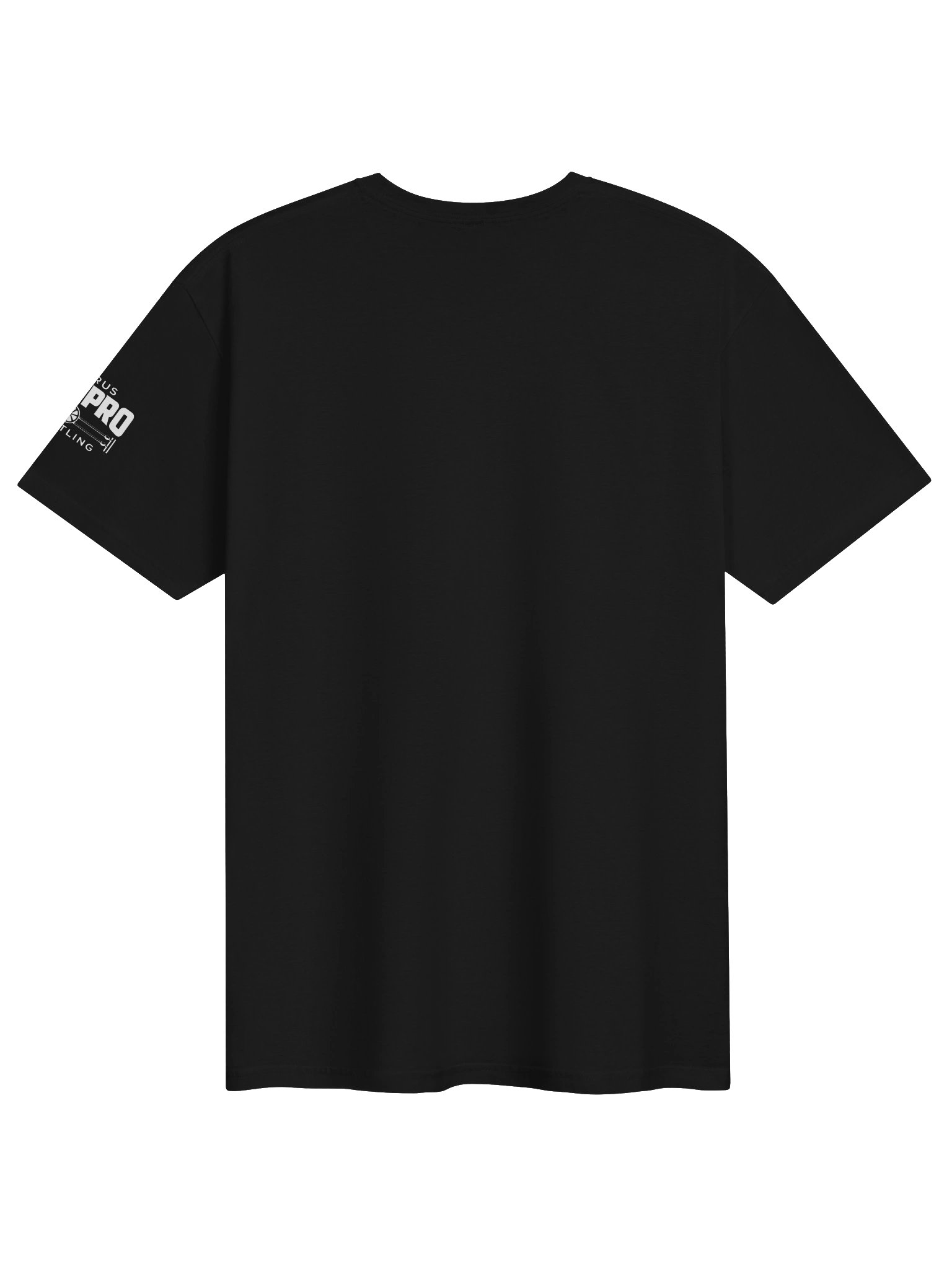 RICHARD HOLLIDAY "Nobody Is Exempt" Tee product image (12)
