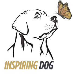 Inspiring Dog 