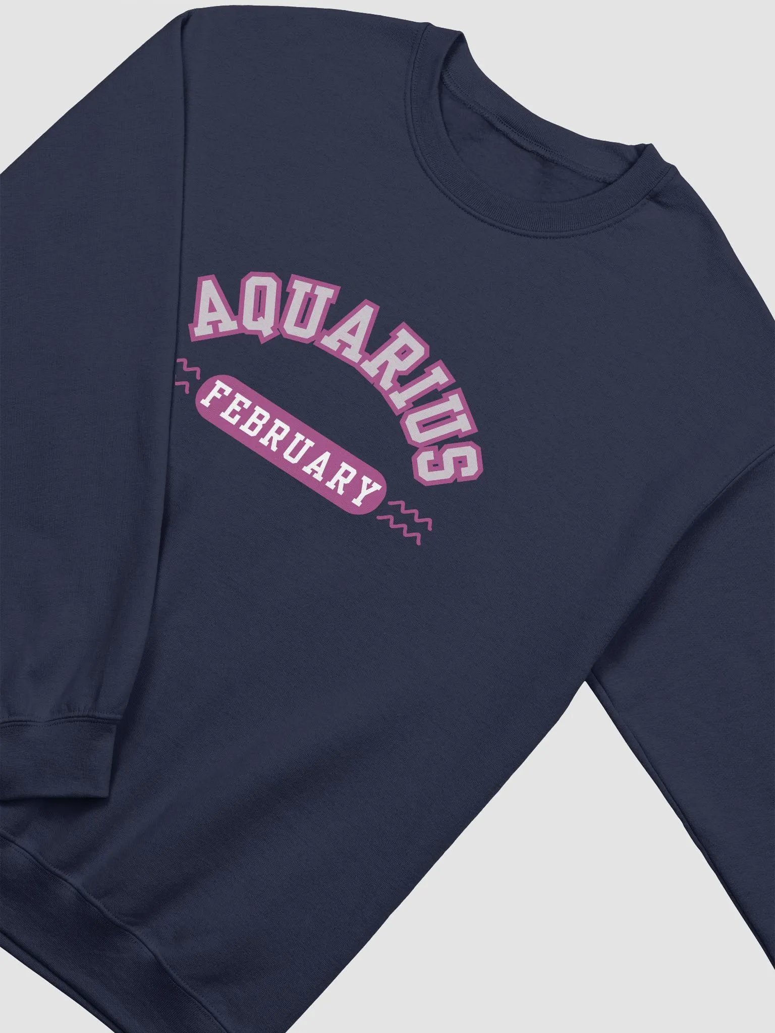 Aquarius February Zodiac Sign Sweatshirt product image (22)