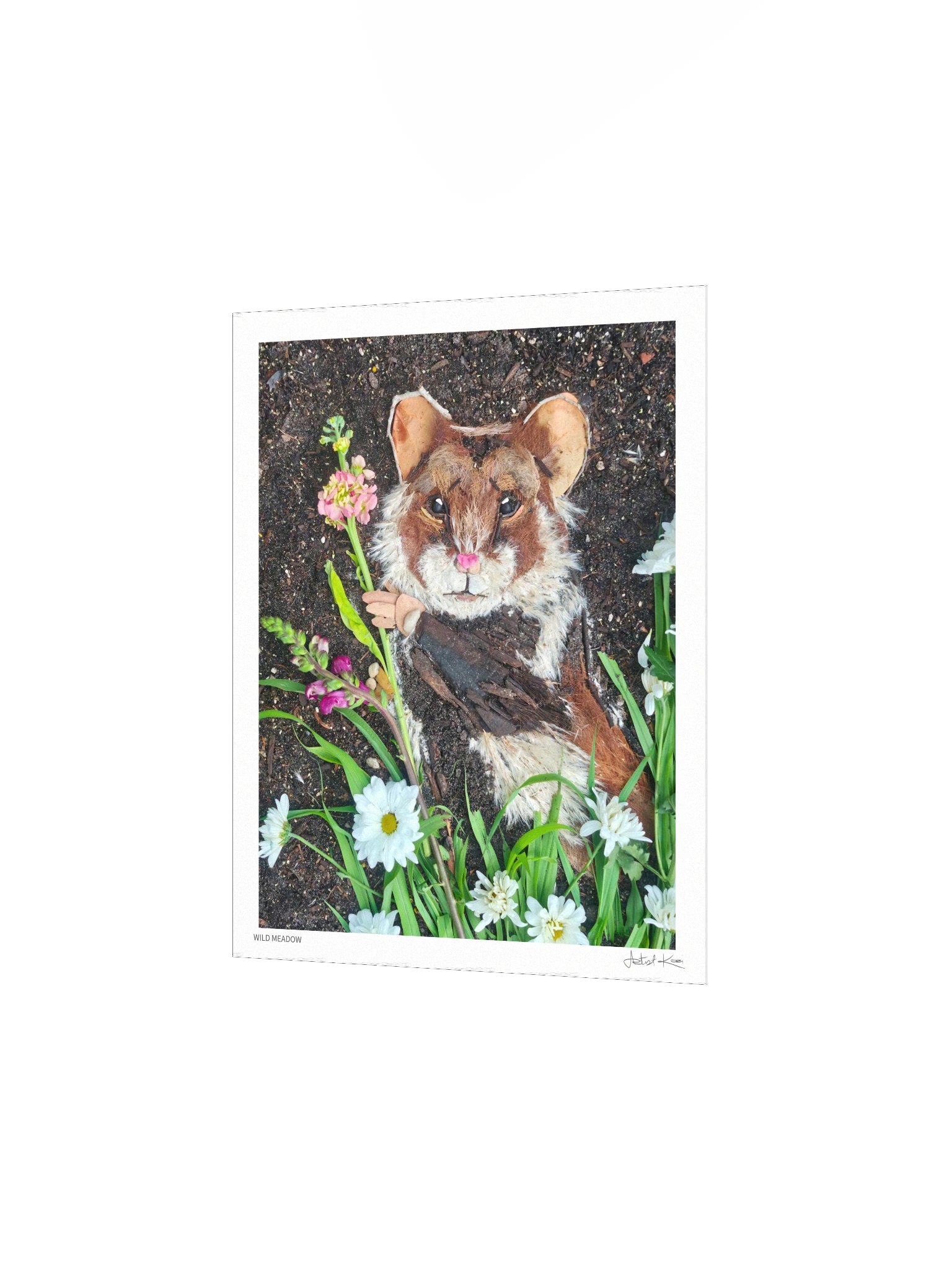 WILD MEADOW | Fine Art Print product image (6)