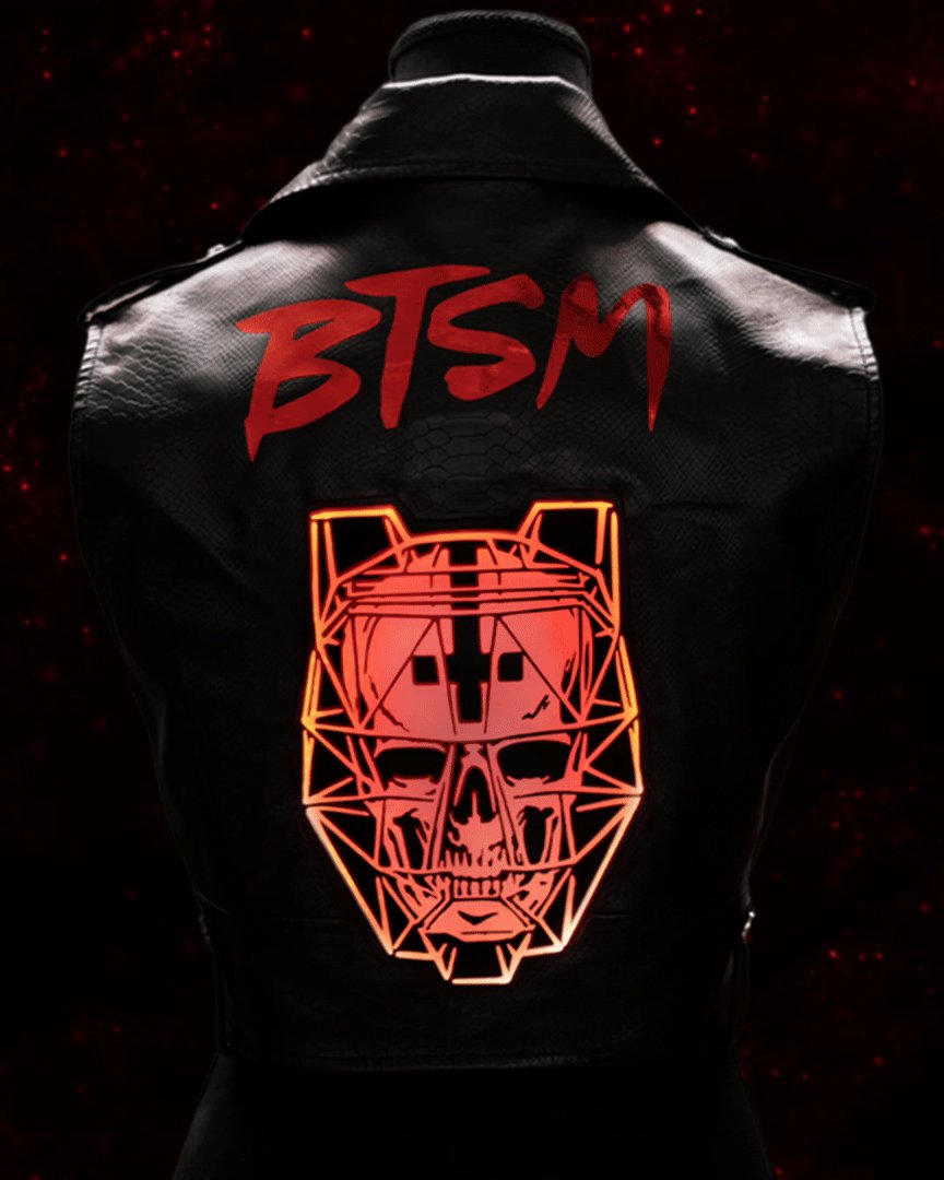 BTSM Vest product image (1)