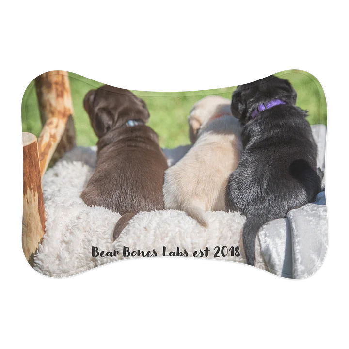 Dog Bowl Mat product image (1)