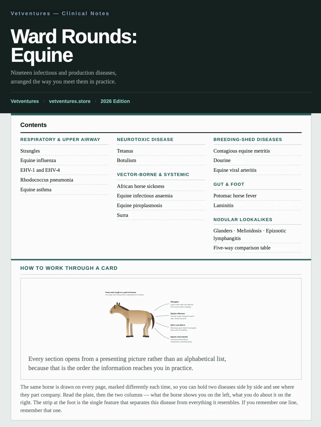 Equine Diseases Clinical Notes (PDF Download) product image (1)