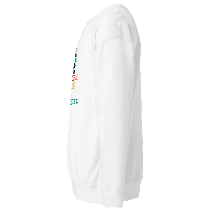 Transformons l’Ordinaire en Extraordinaire Sweatshirt product image (2)