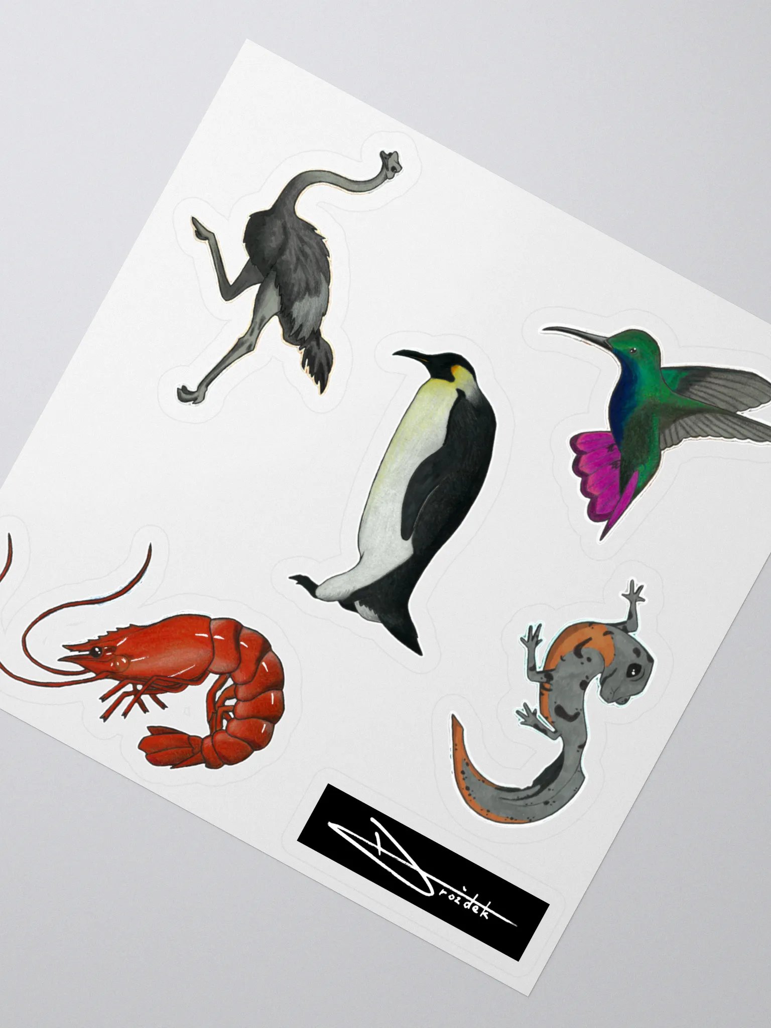 Wild Creatures Vol. 1 - Hand Drawn Stickers product image (4)
