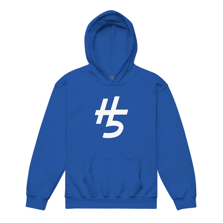 H5 Hoodie (Youth) product image (1)