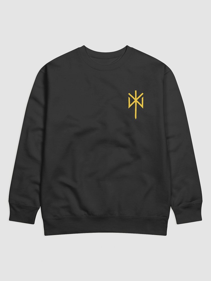 SIGNATURE AE BIND RUNE SWEATSHIRT product image (1)