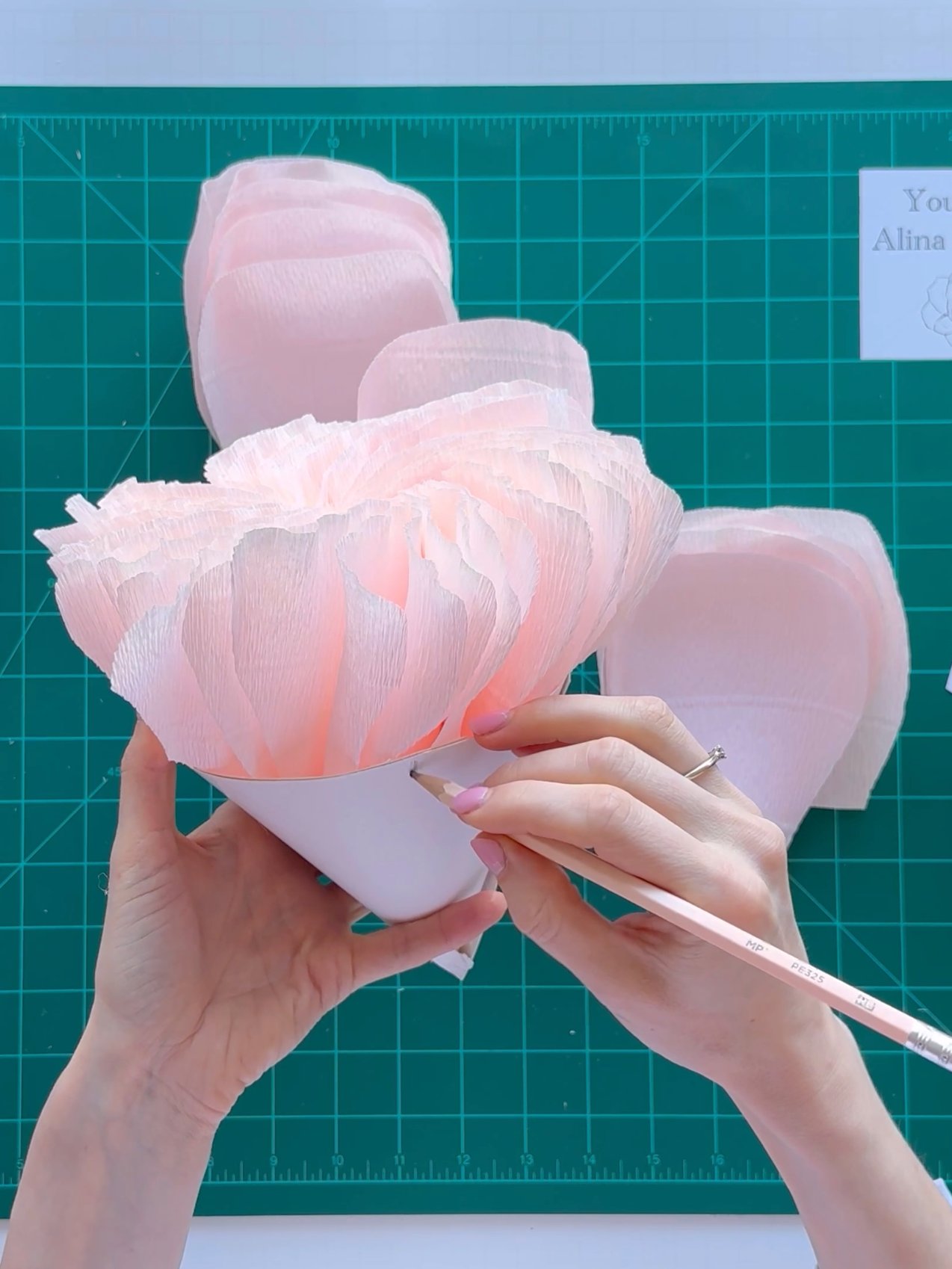 DIY Giant Paper English Rose: Templates from Video Tutorial + Materials Checklist product image (5)