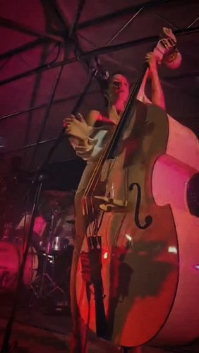 @elizastark.dap is bringing a rock ’n’ roll flavour to the @irongateiff festival party! 🤘🏻

See you at @hotelaquastardanube o...