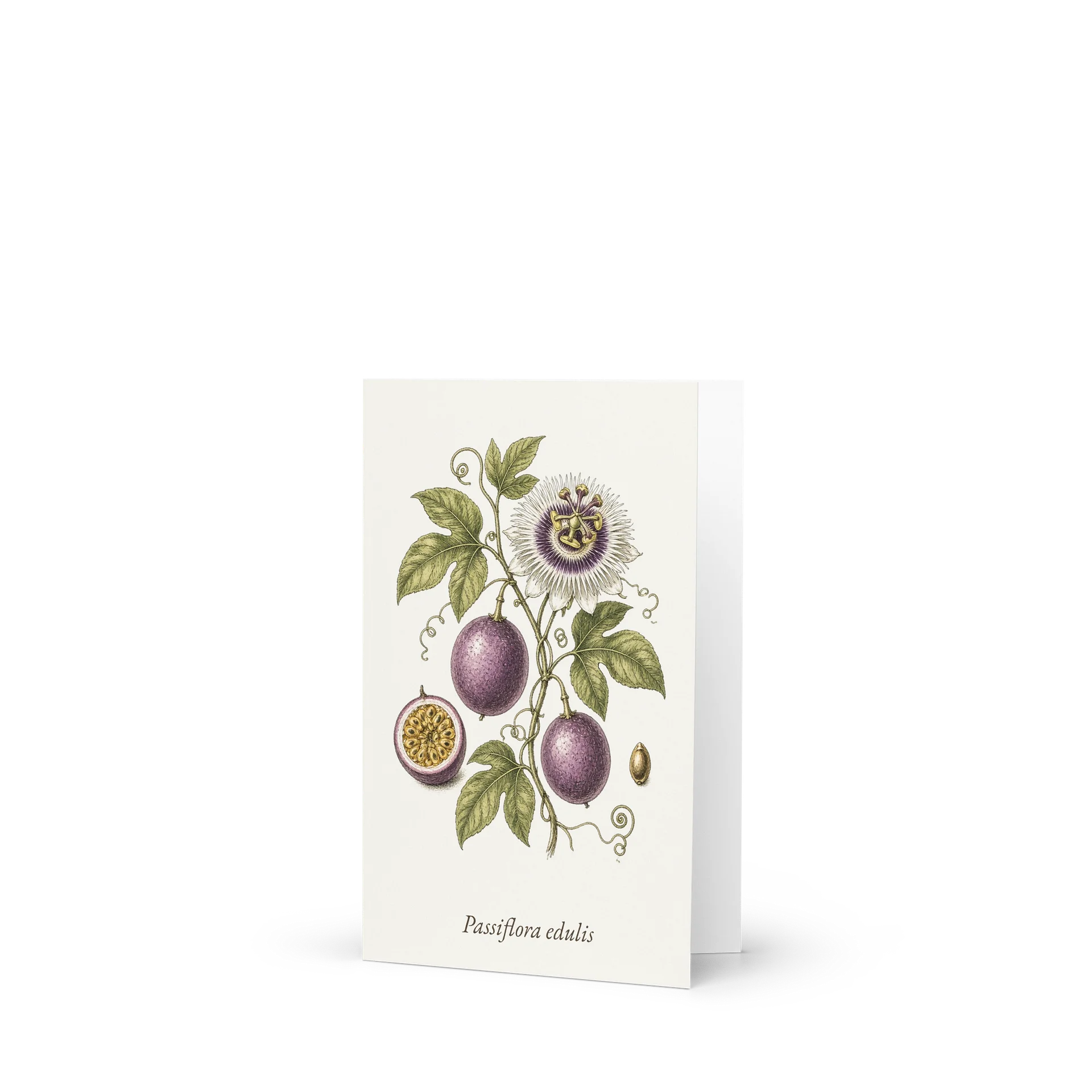 Vintage Botanical Passion Fruit Greeting Card product image (1)