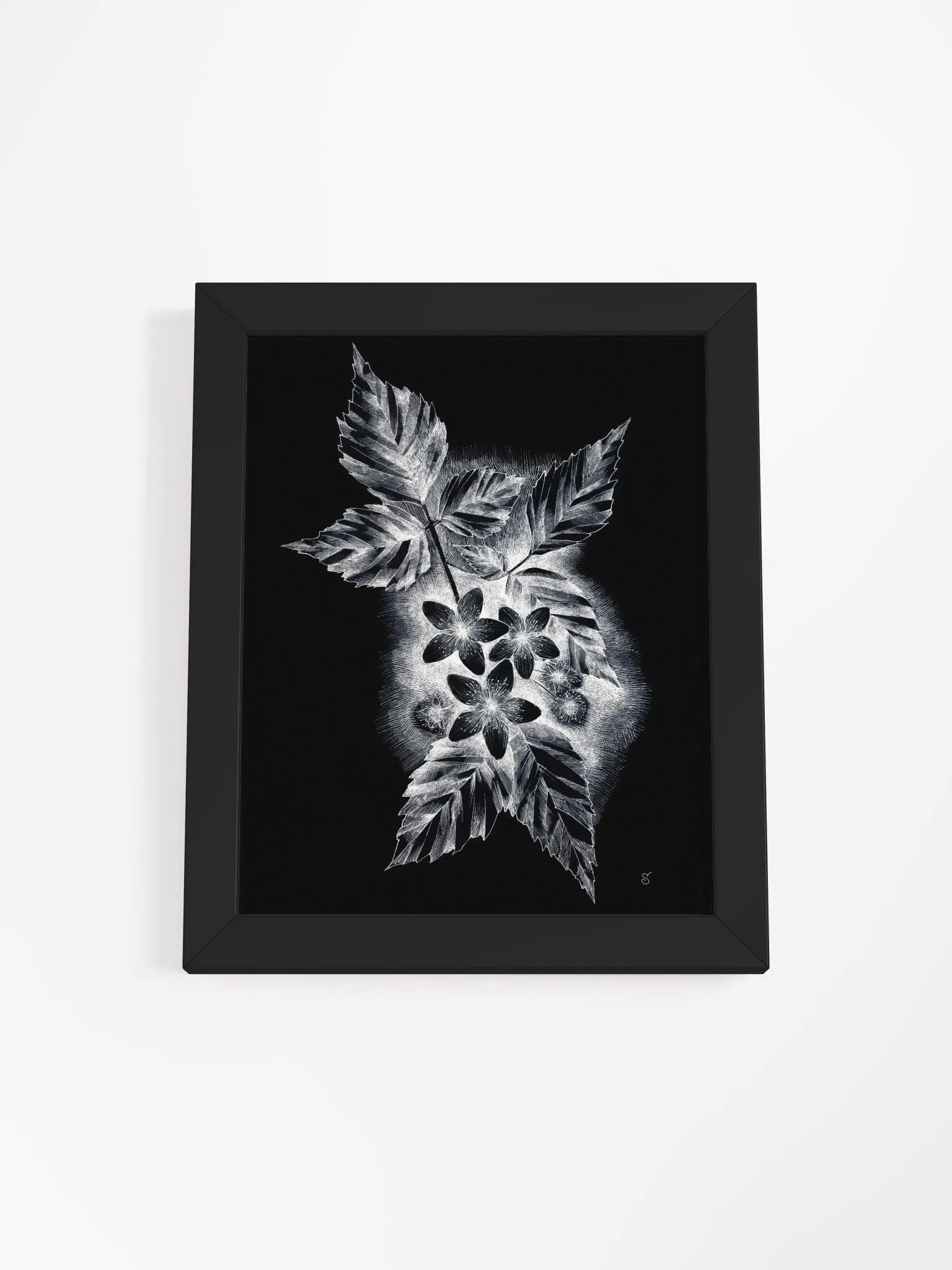 Monochrome Nature Beauty Framed Poster - Dark Jasmine product image (1)
