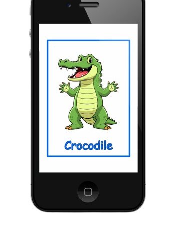 Digital Flashcards Bundle product image (5)