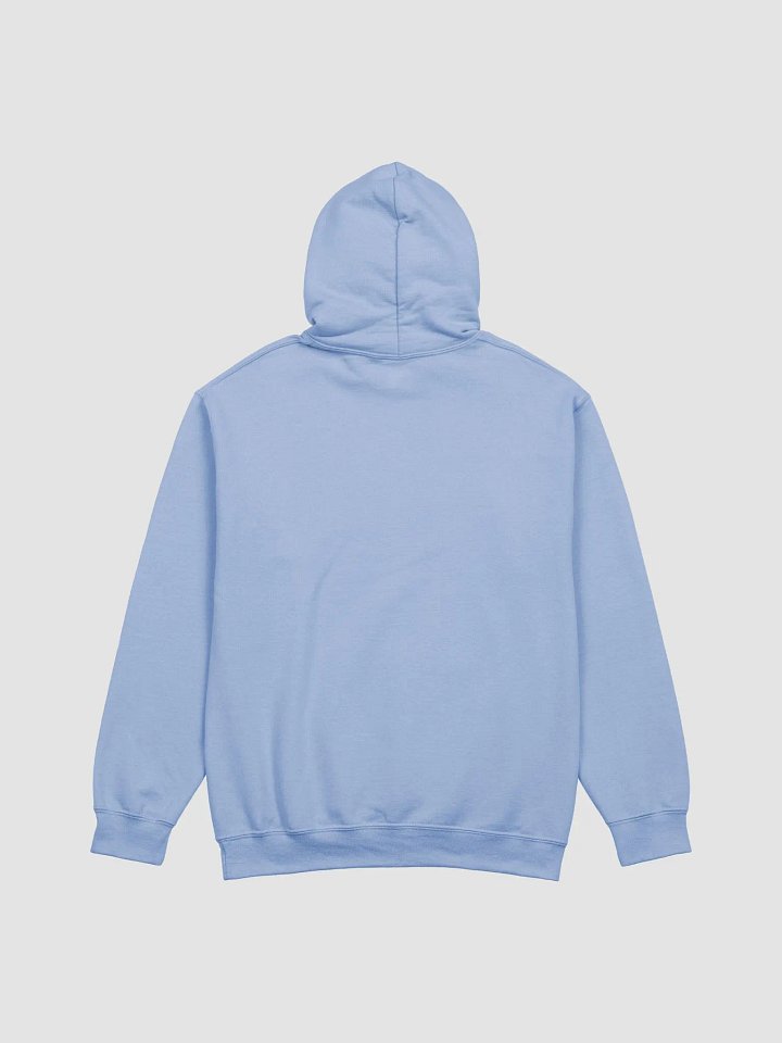 Got Truth Hoodie (Multiple Colors) product image (6)