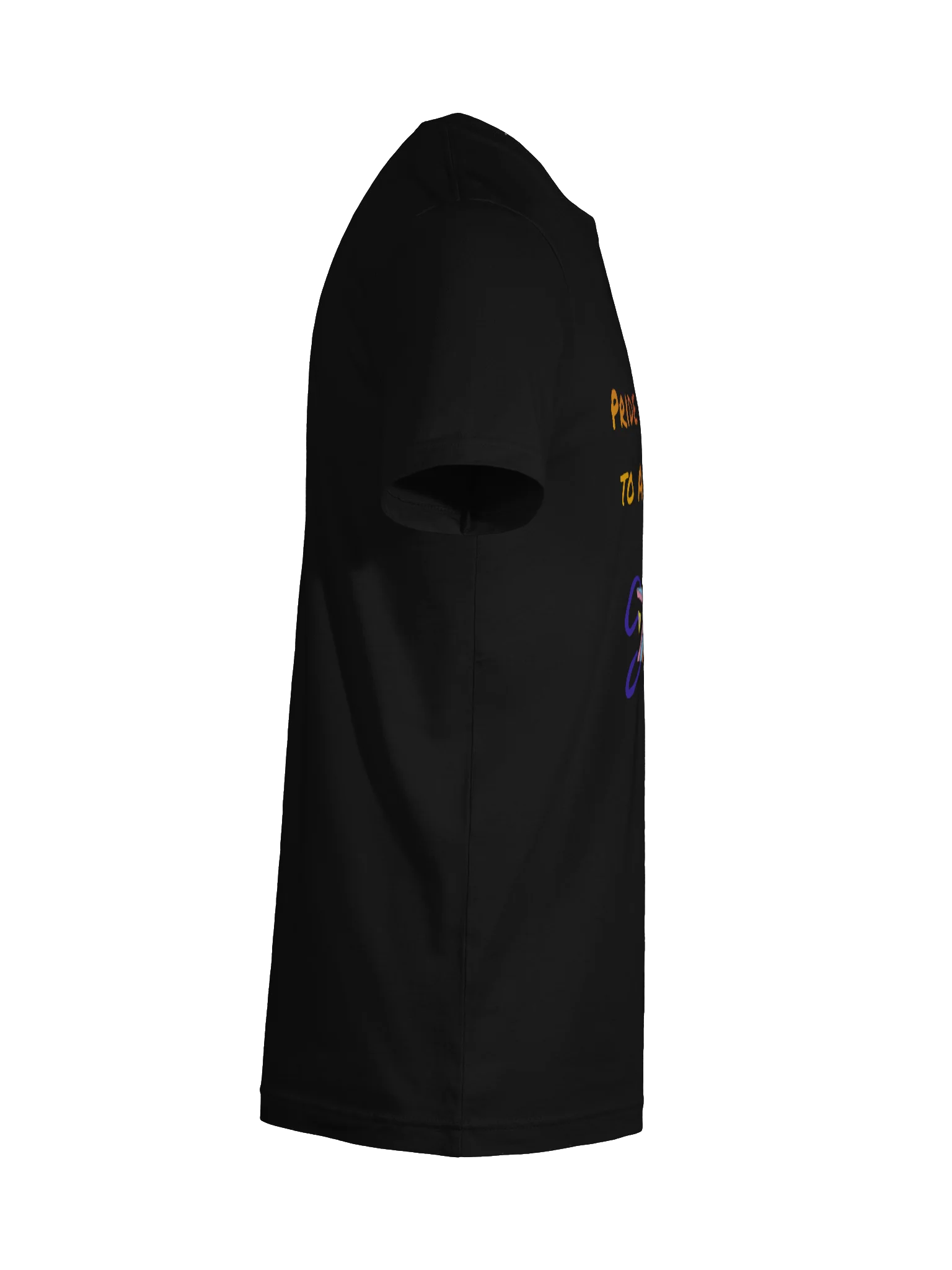 Pride Accessible to ALL>Some tee product image (10)