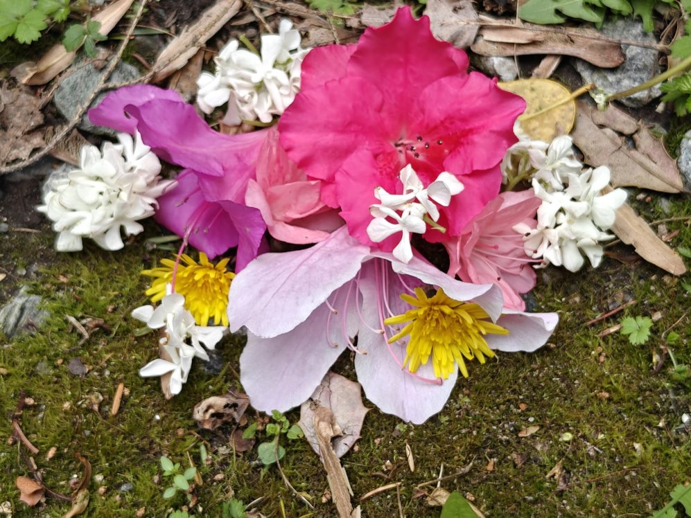 Flower offering