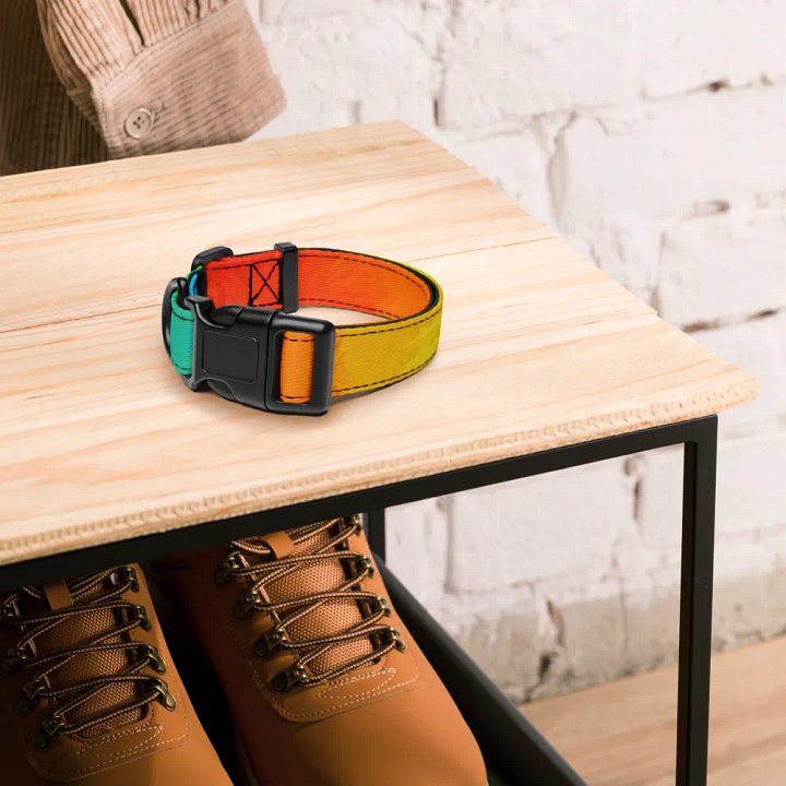 Pride Dog* Collar product image (2)