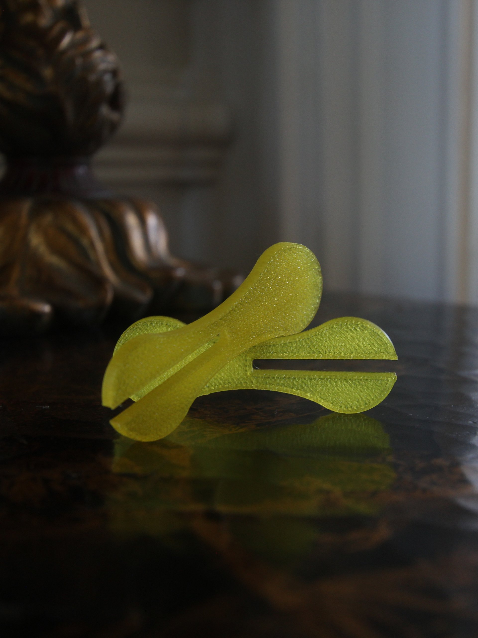 Flat Bone product image (5)