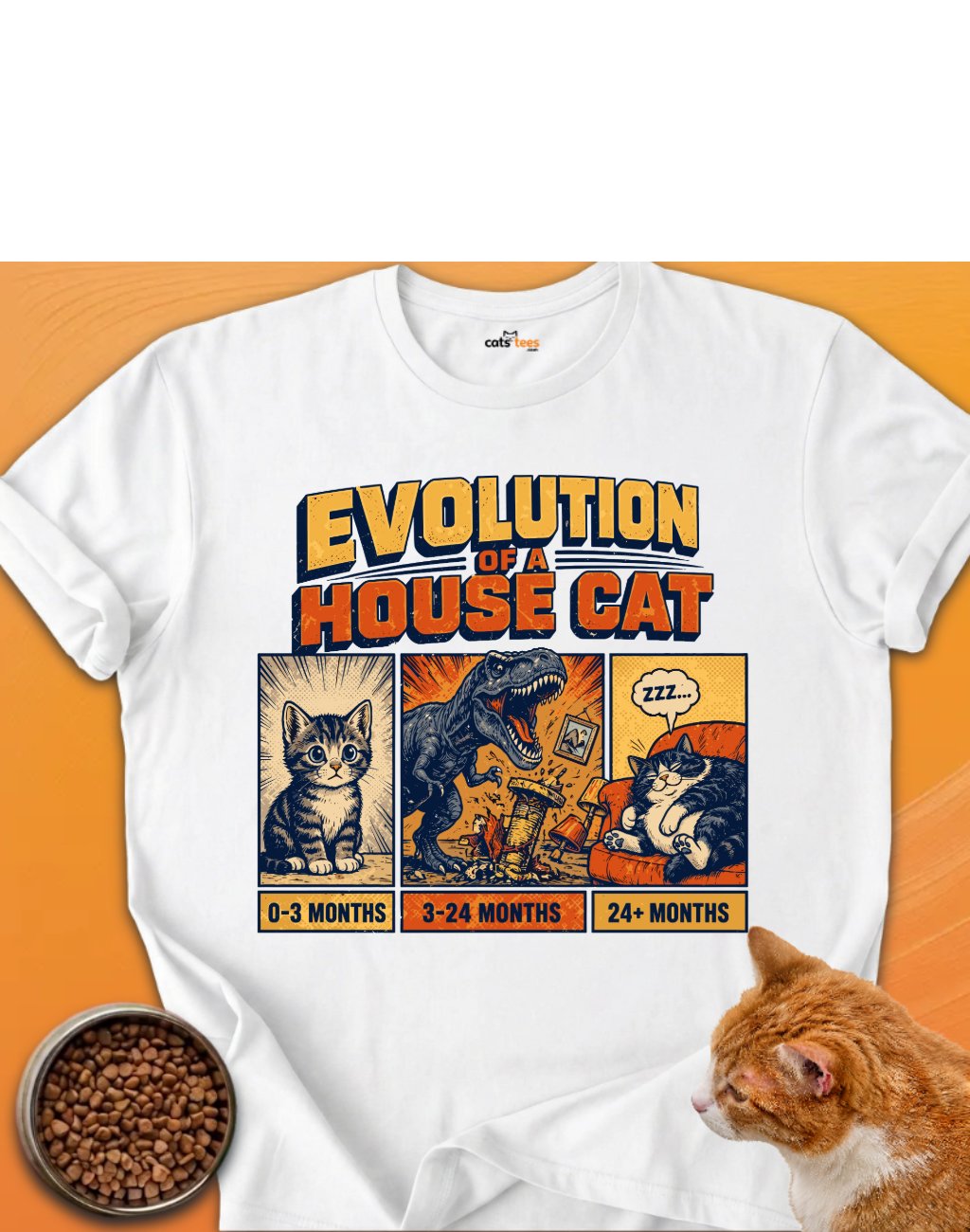 Evolution Of a House Cat product image (1)