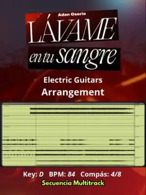 🎸 Eelctric Guitars Arrangement de 