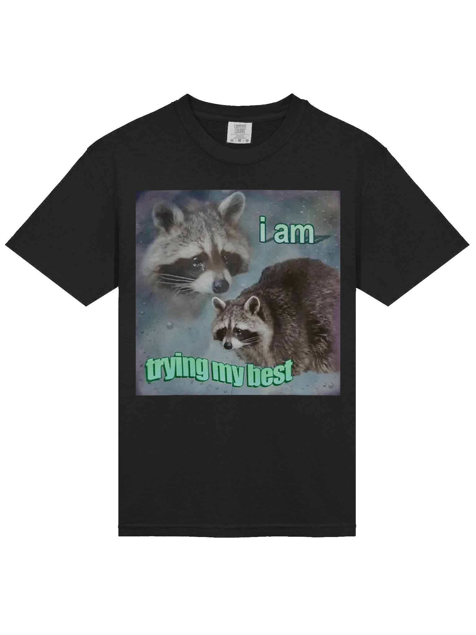 I Am Trying My Best Shirt product image (4)