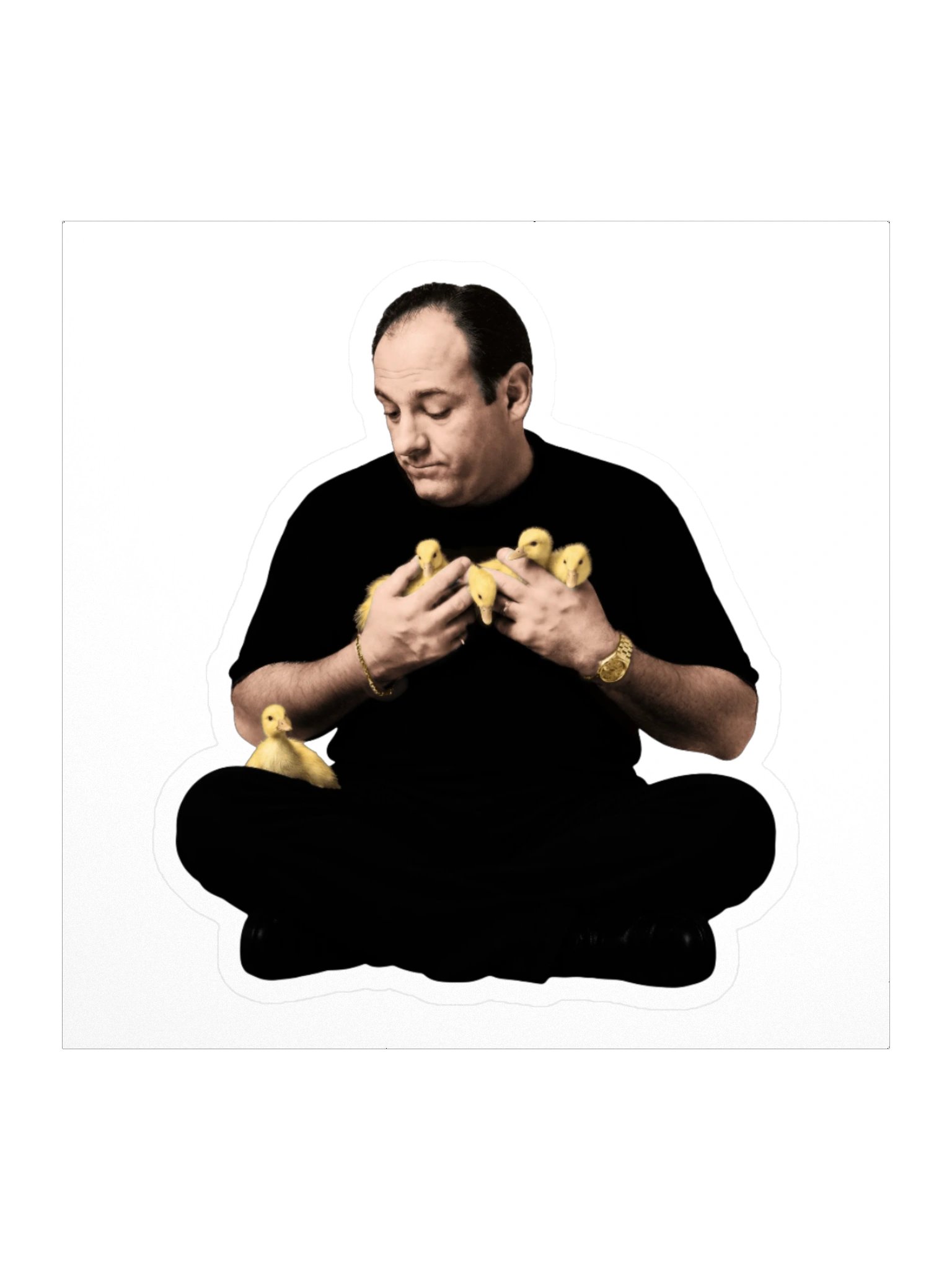 Tony & the Ducks — Vinyl Sticker product image (2)