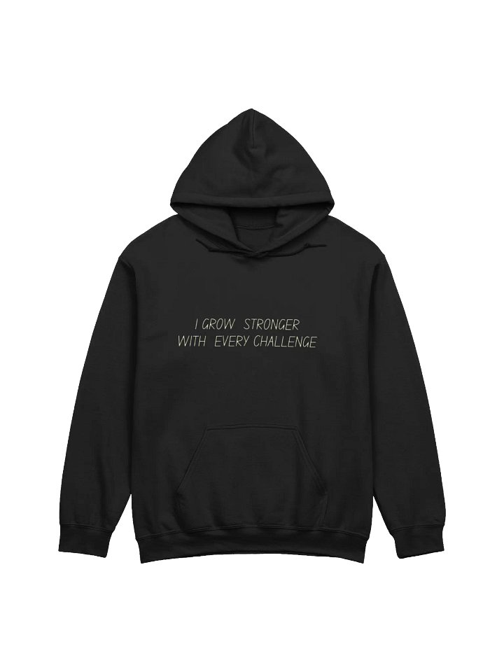 Minimalist Hoodie- Black product image (1)