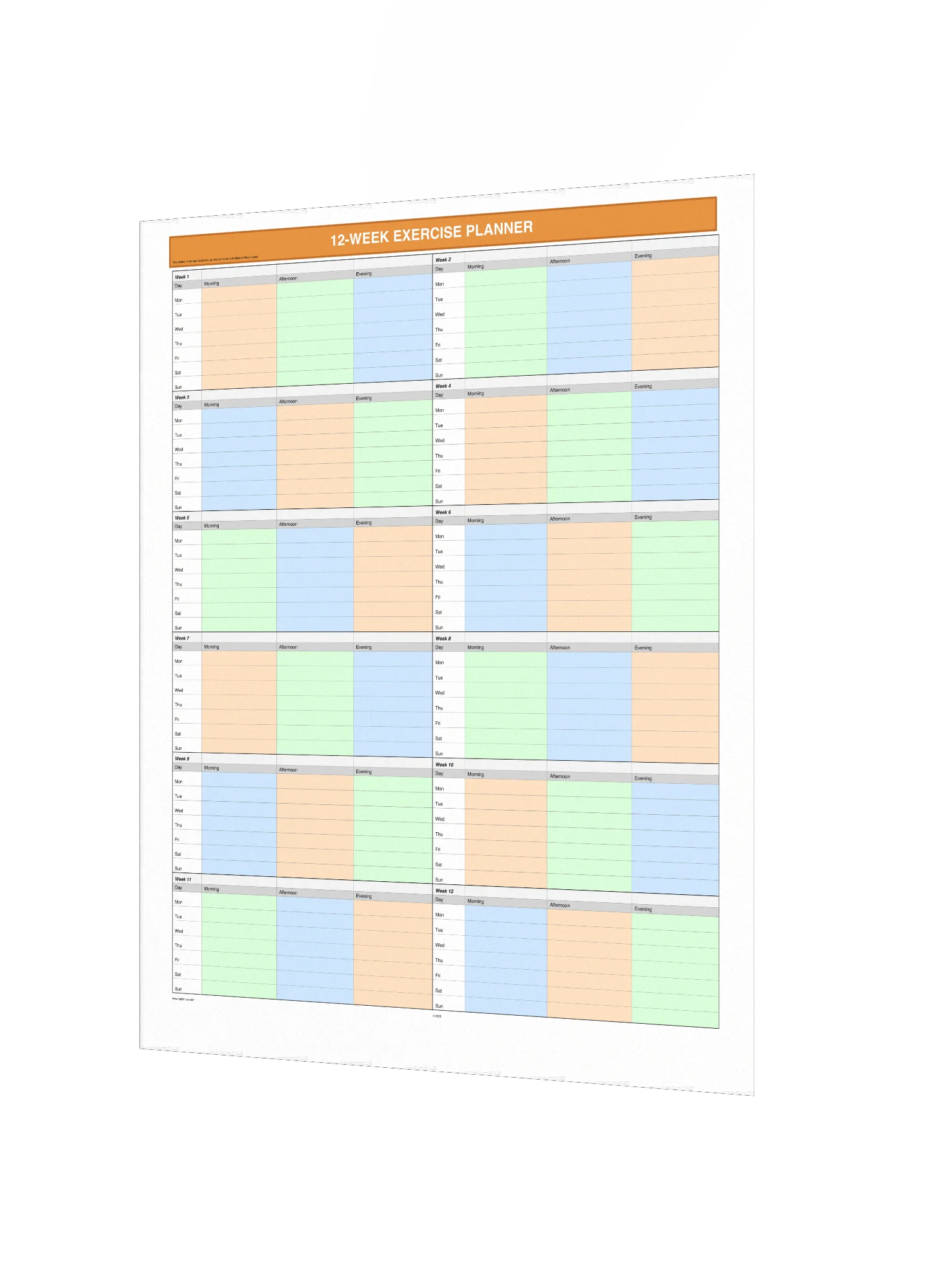 12 Week Exercise Planner product image (3)
