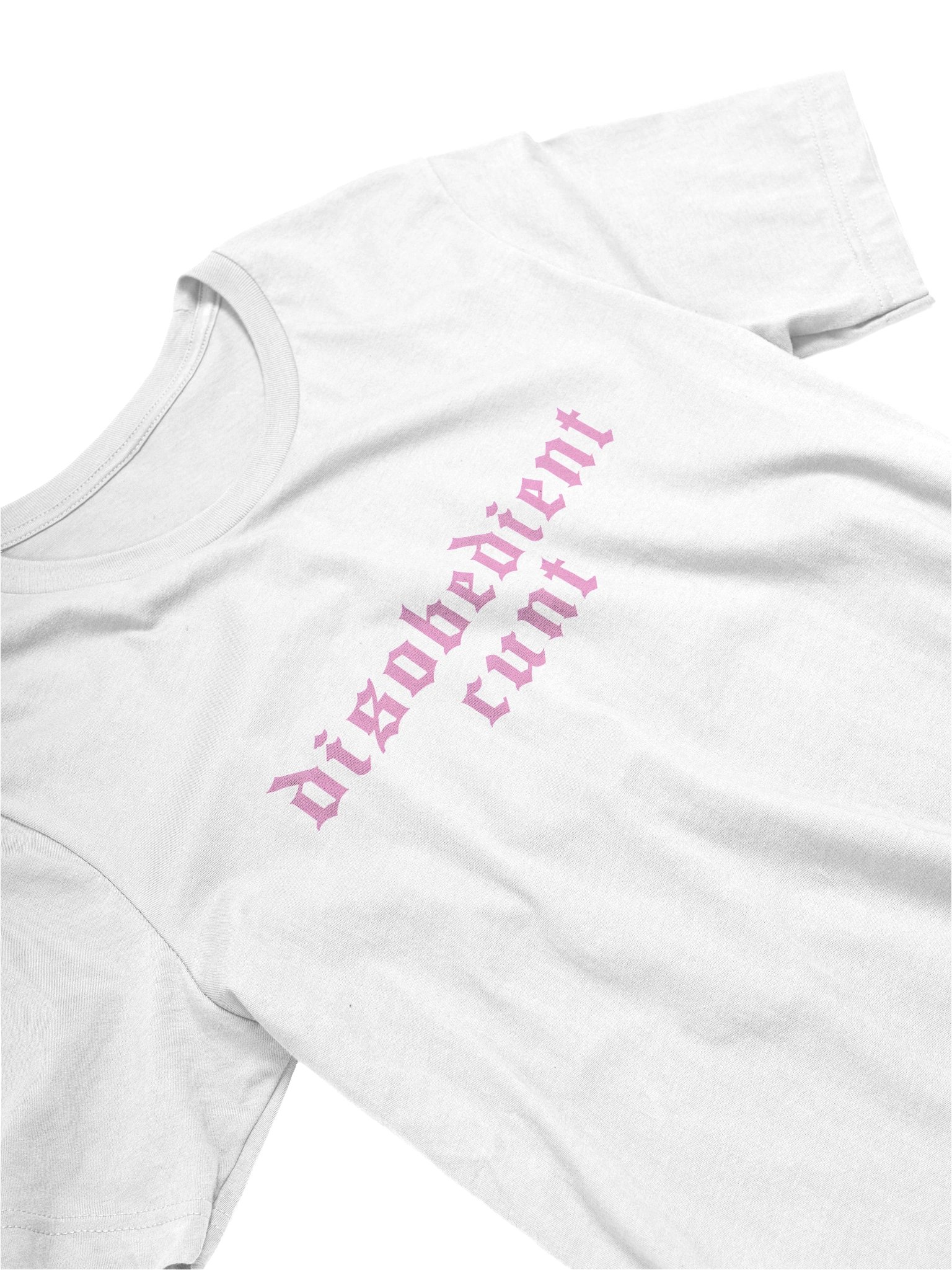 Disobedient T Shirt product image (2)