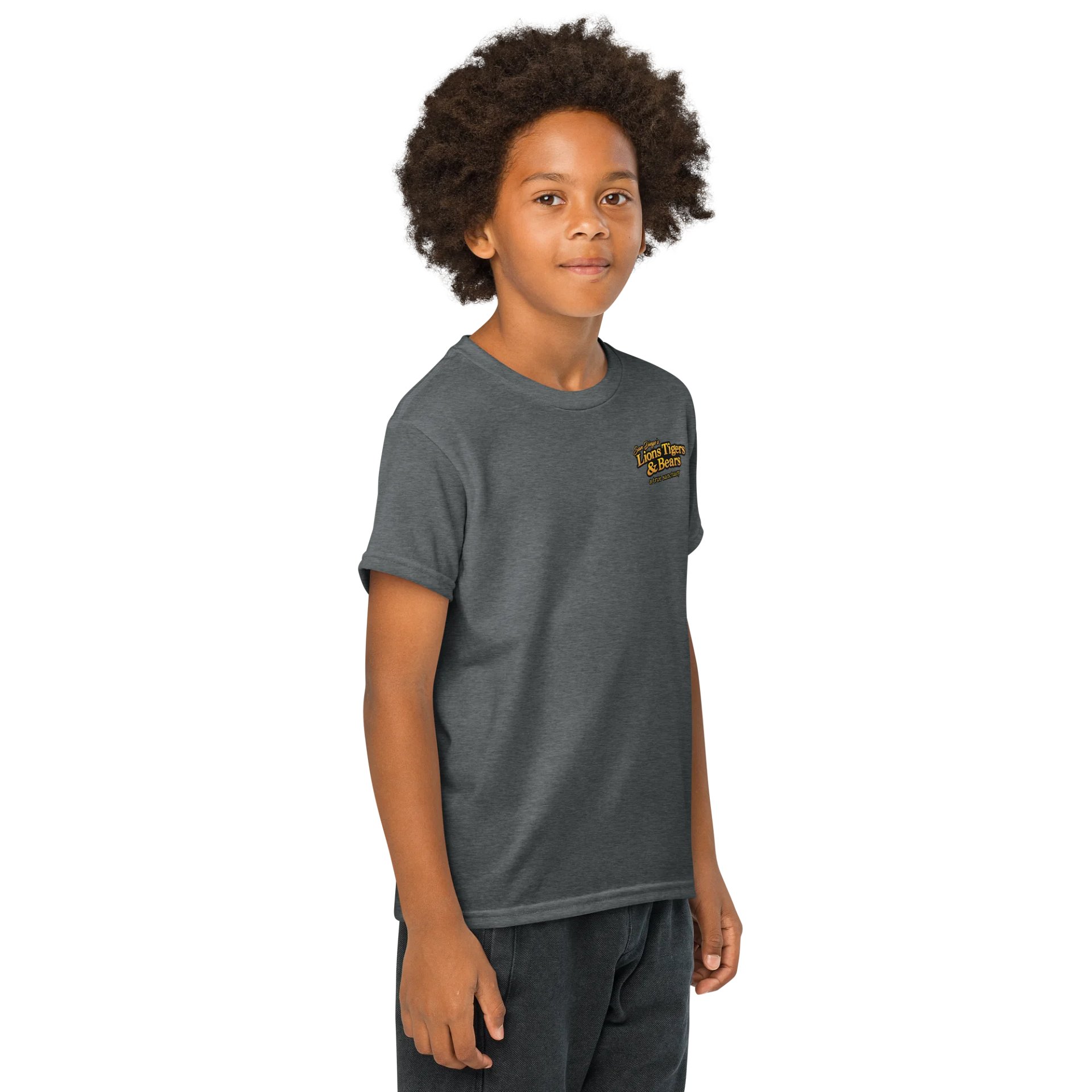 Nola Art Youth Tee product image (4)