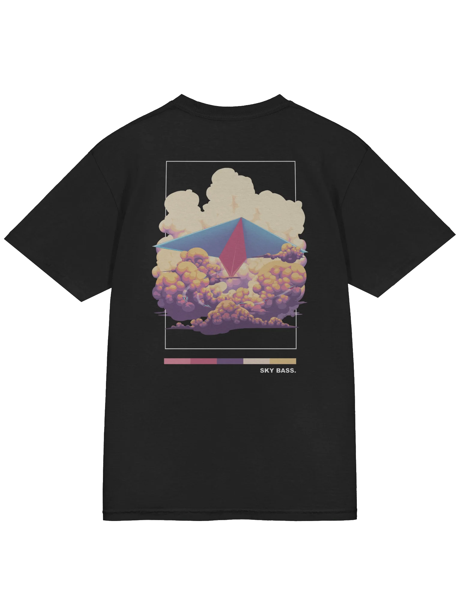 SKY BASS AIRPLANE BACKPRINT product image (4)