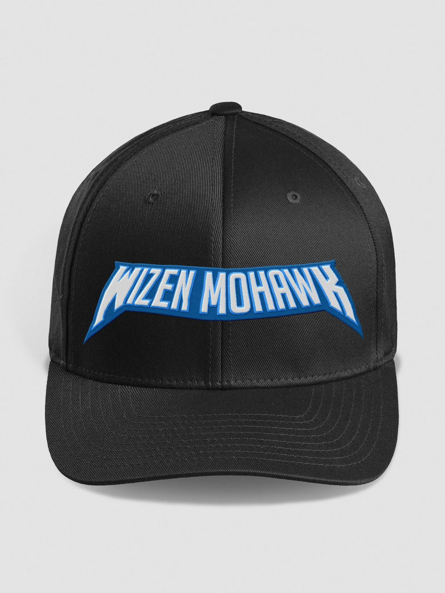 Fitted Hat (Black) product image (1)