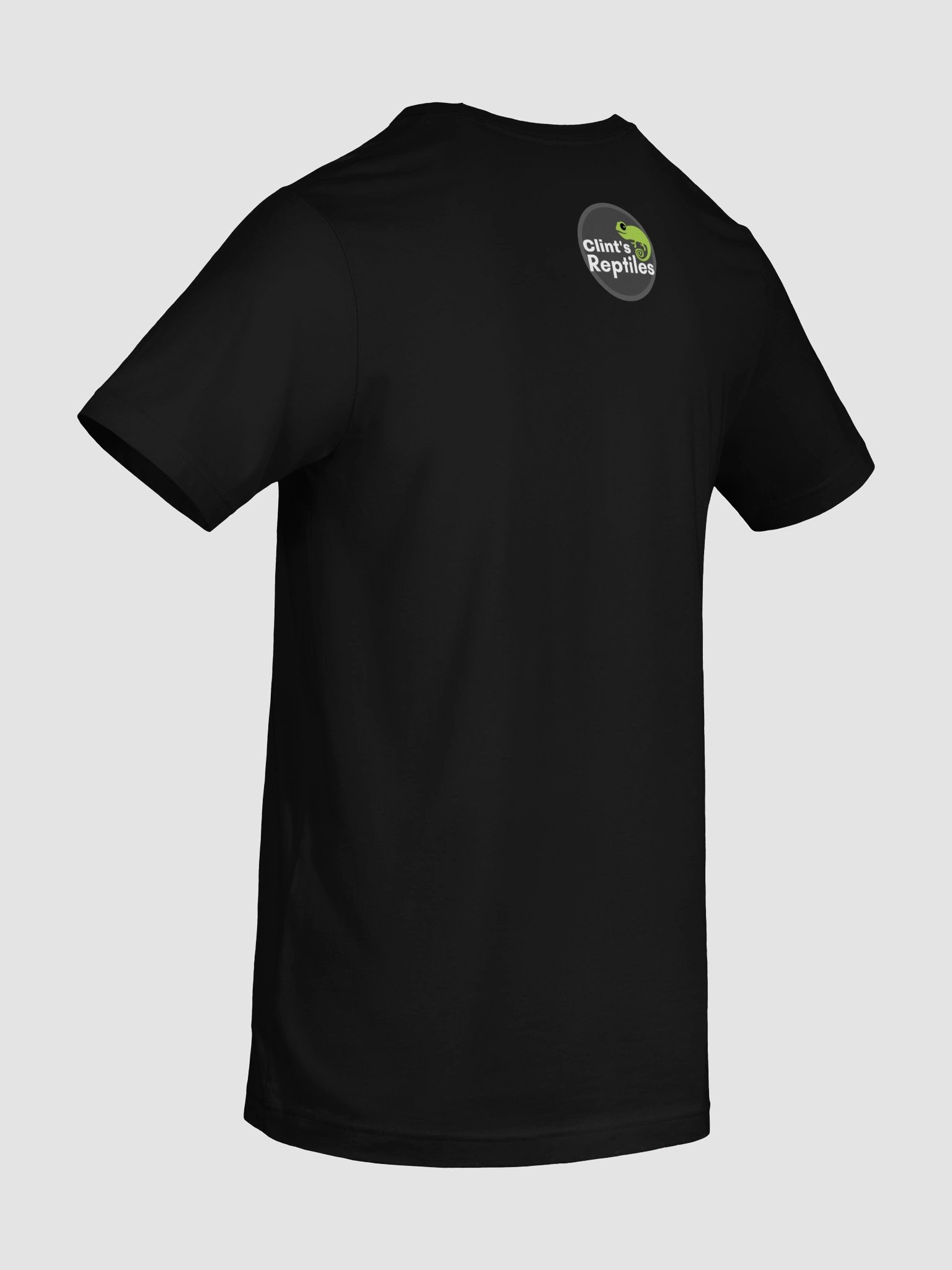 Spinosaurus - Shirt product image (8)