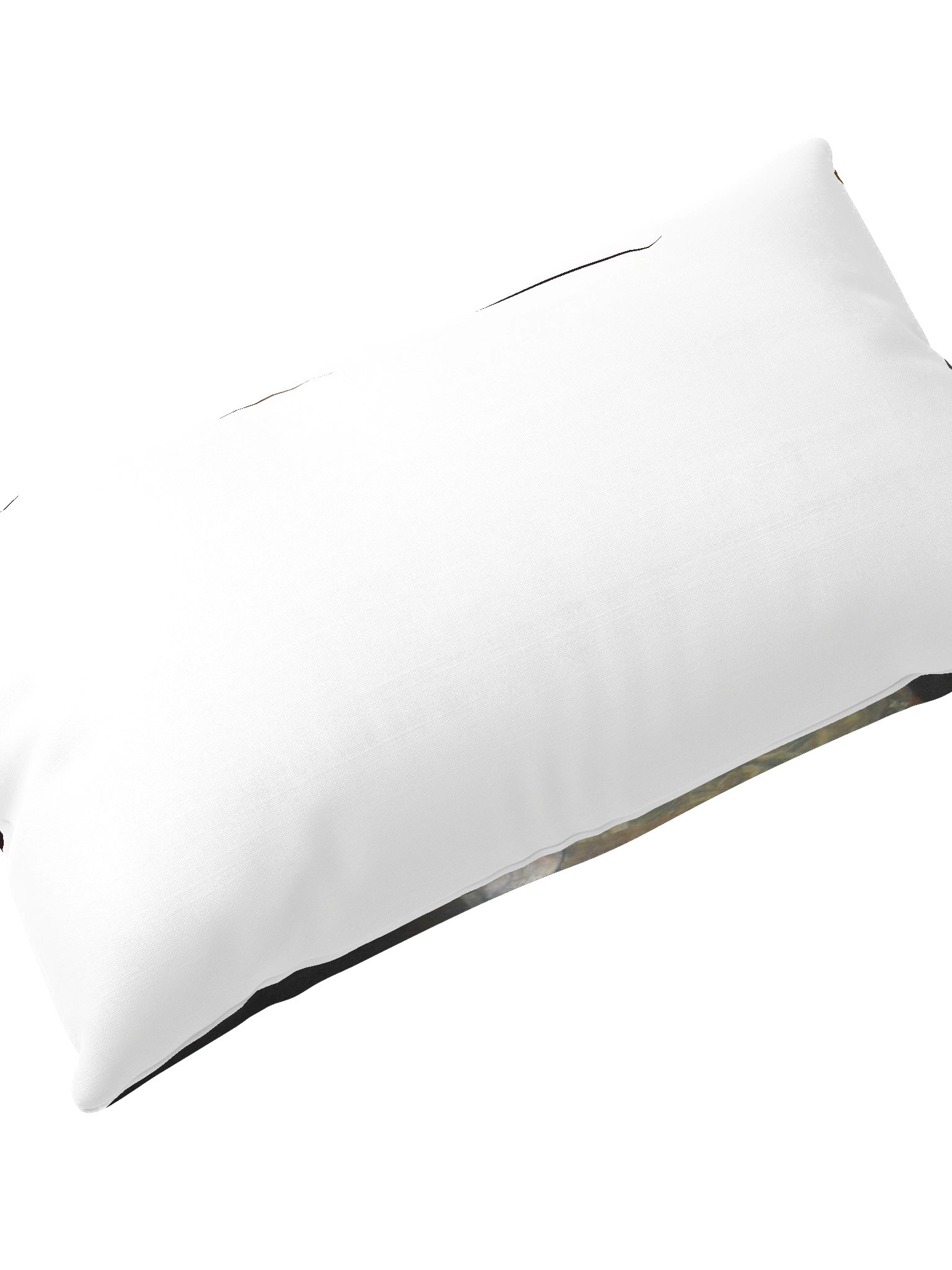 jake fish pillow product image (12)
