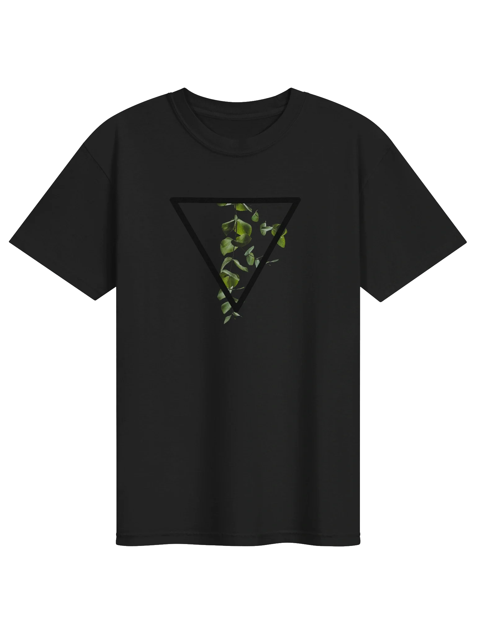 Growing Ivy
