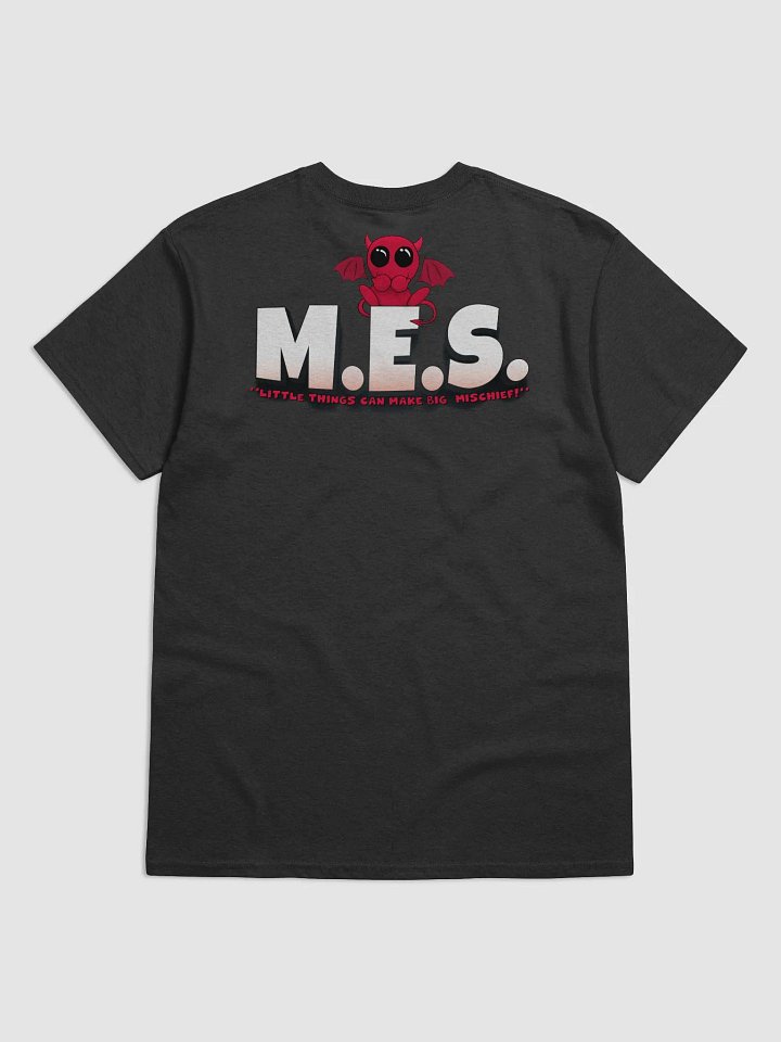 Little Things - Heavyweight Tee product image (2)