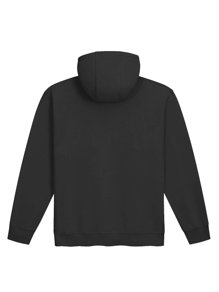 DK APPAREL HOODIE product image (2)