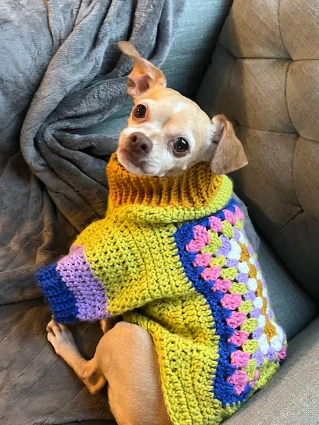 Crochet Dog Sweater Pattern PDF – Easy DIY Pet Clothes, Step-by-Step Instructions product image (3)
