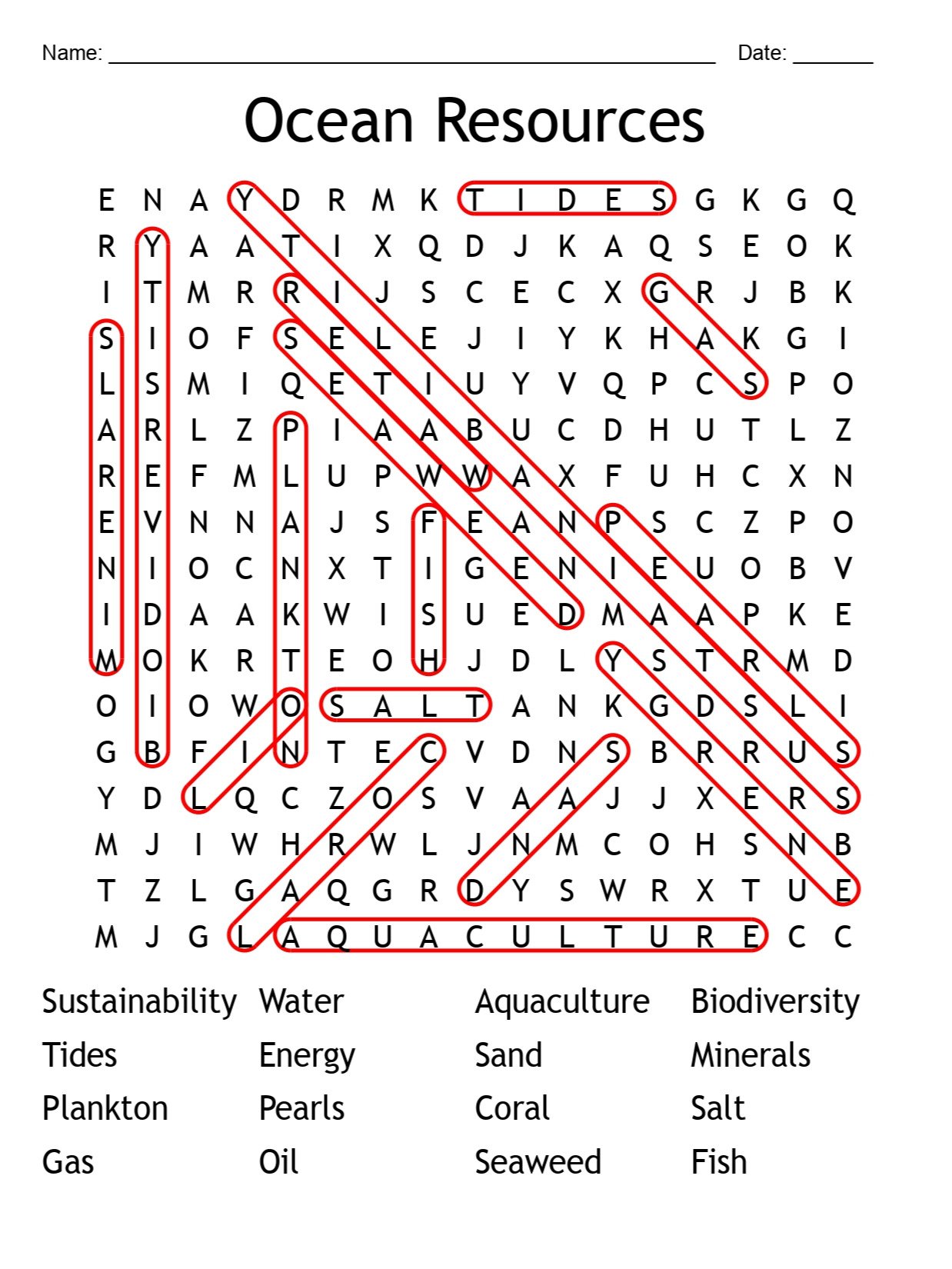 Printable Ocean Resources Word Search Puzzle product image (2)